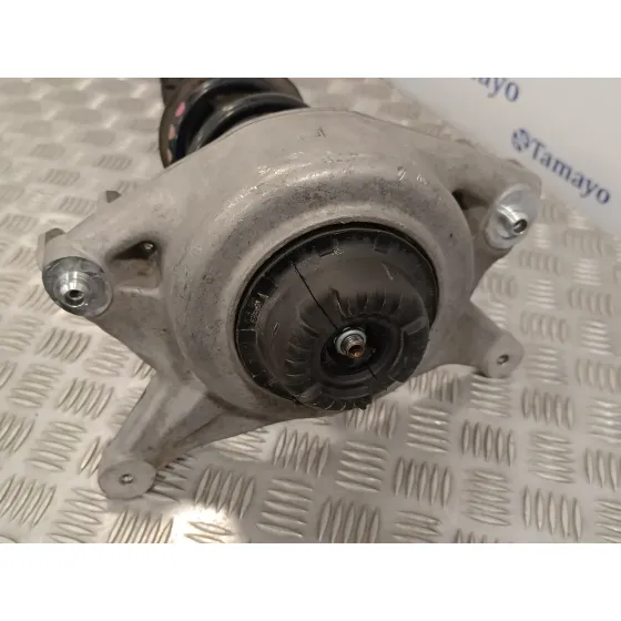 Amortiguador Delantero Derecho para Audi A5 Coupe (8T)