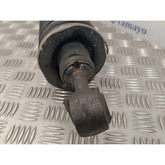 Amortiguador Delantero Izquierdo para Nissan Pathfinder (R51)