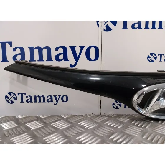 Rejilla Delantera para Hyundai I20