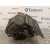 Calefaccion Entera Normal para Ford Transit Furgon (Tts)