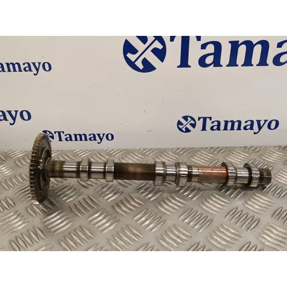 Arbol De Levas para Mercedes-Benz Clase M (W164)