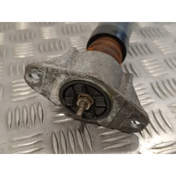 Amortiguador Trasero Izquierdo para Ford Focus Berlina (Cap)