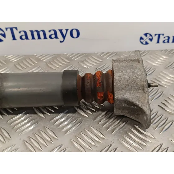 Amortiguador Trasero Derecho para Ford Focus Berlina (Cap)