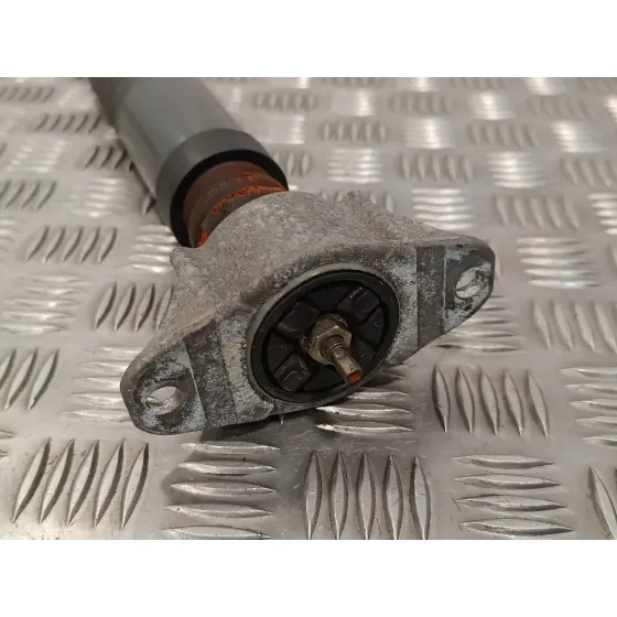 Amortiguador Trasero Derecho para Ford Focus Berlina (Cap)