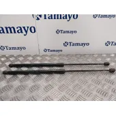 Amortiguadores Maletero / Porton para Bmw X1 (E84)