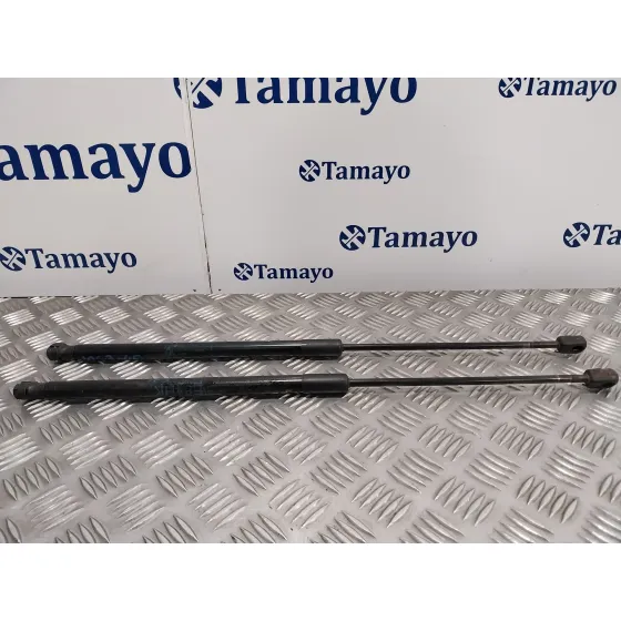 Amortiguadores Maletero / Porton para Bmw X1 (E84)