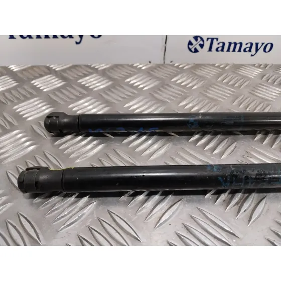 Amortiguadores Maletero / Porton para Bmw X1 (E84)