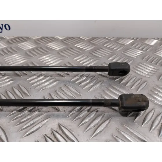 Amortiguadores Maletero / Porton para Bmw X1 (E84)