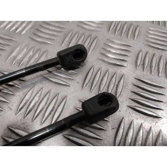 Amortiguadores Maletero / Porton para Bmw X1 (E84)