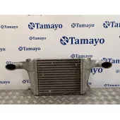 Intercooler para Nissan Cabstar
