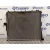 Radiador Agua para Bmw X3 (E83)