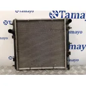 Radiador Agua para Peugeot 208