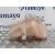 Deposito Expansion para Seat Exeo St (3R5)(2009>)