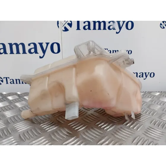 Deposito Expansion para Seat Exeo St (3R5)(2009>)