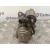 Motor Arranque para Chrysler Neon (Pl)