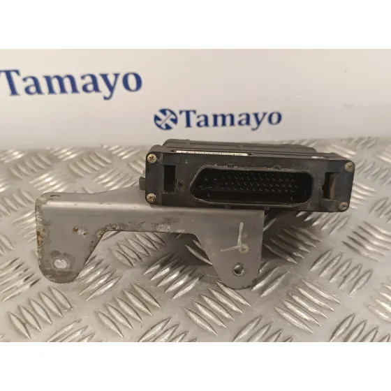 Centralita Cambio Automatico para Volkswagen Passat Variant (3C5)