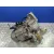 Caja Cambios para Citroën Saxo