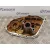 Tapa Distribucion para Mercedes-Benz Clase C (W203) Sportcoupe