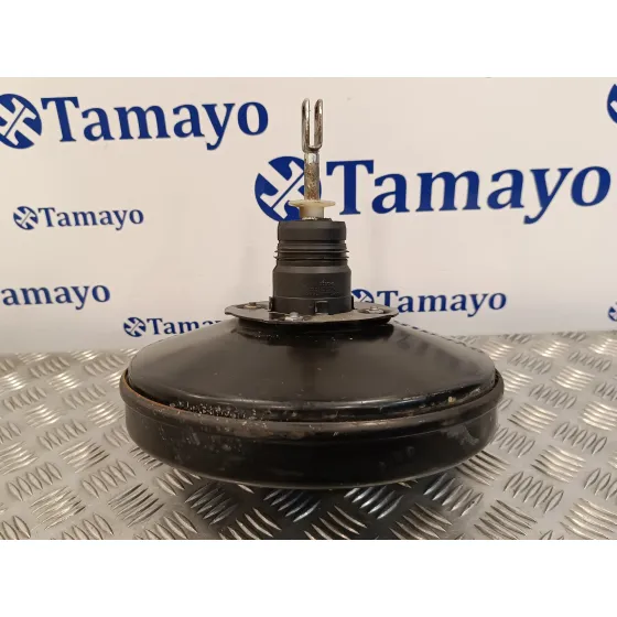 Servofreno para Renault Kangoo