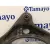 Brazo Suspension Inferior Delantero Izquierdo para Ford Focus C-Max (Cap)