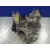 Caja Cambios para Ford Fiesta (Ccn)