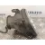 Faro Antiniebla Izquierdo para Subaru Legacy Berl. B13 (Bl)