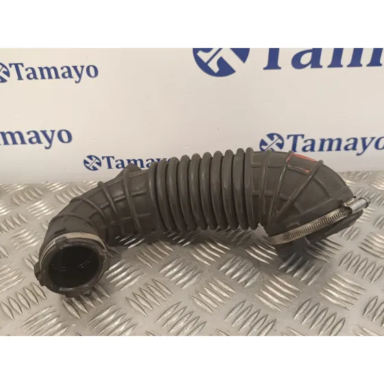 Tubo para Audi A5 Coupe (8T)