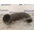 Tubo para Audi A5 Coupe (8T)