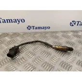 Sonda Lambda para Seat Exeo St (3R5)(2009>)