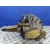 Caja Cambios para Mercedes-Benz Vaneo (W414) Furgoneta Compacta