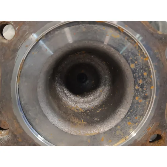 Diferencial Trasero para Nissan Pathfinder (R51)