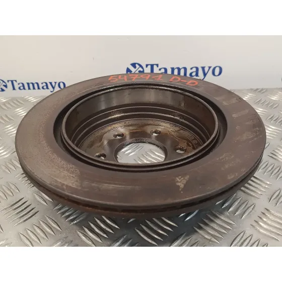 Disco Freno Trasero para Nissan Pathfinder (R51)