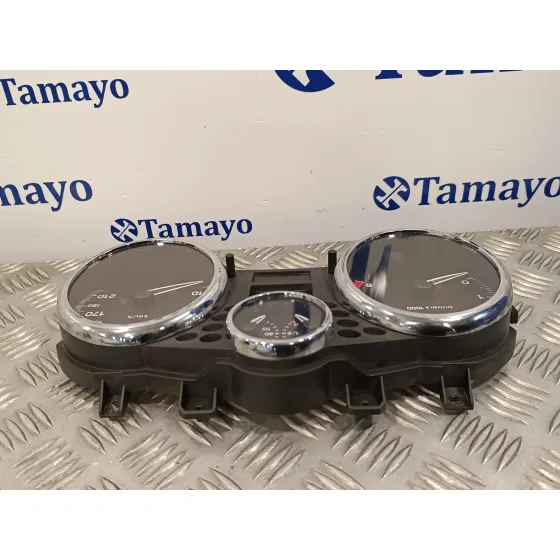 Cuadro Instrumentos para Peugeot 206+