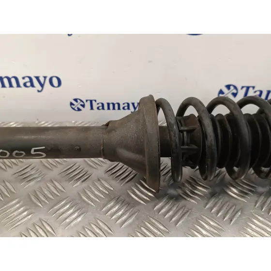 Amortiguador Trasero Izquierdo para Ford Escort Berlina