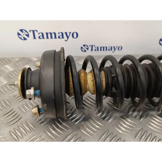 Amortiguador Trasero Derecho para Ford Escort Berlina