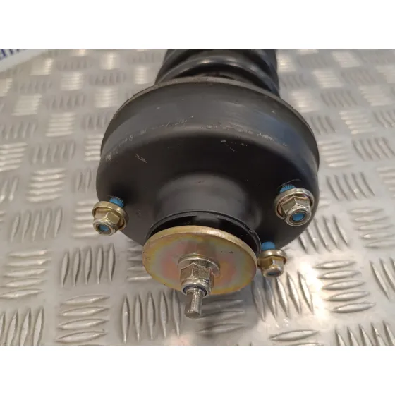 Amortiguador Trasero Derecho para Ford Escort Berlina
