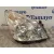 Faro Derecho para Toyota Corolla Verso (R1)