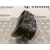 Cuadro Instrumentos para Volkswagen Polo (6C1)