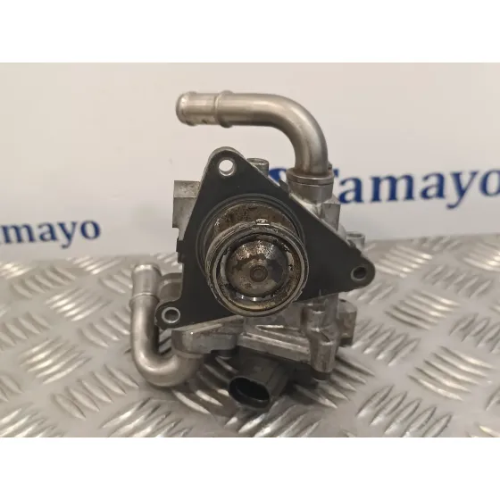 Valvula Egr para Skoda Rapid