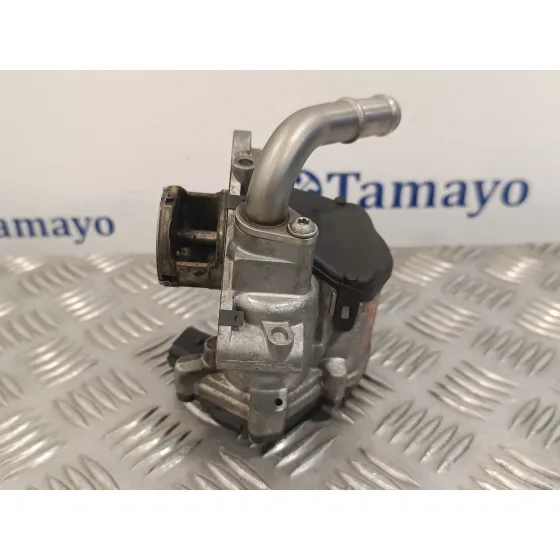 Valvula Egr para Skoda Rapid