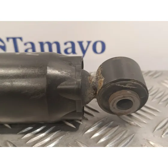 Amortiguador Trasero Izquierdo para Nissan Pathfinder (R51)