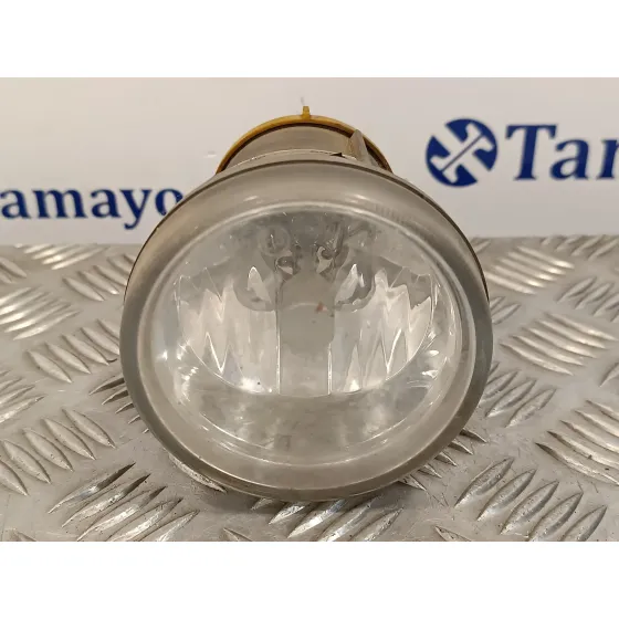 Faro Antiniebla Izquierdo para Citroën C3