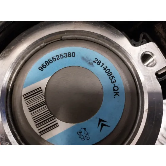 Bomba Direccion para Peugeot 206+