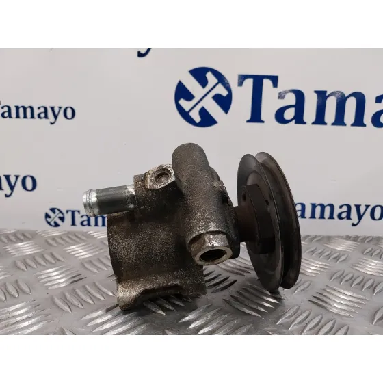 Bomba Servodireccion para Seat Ibiza (6K)