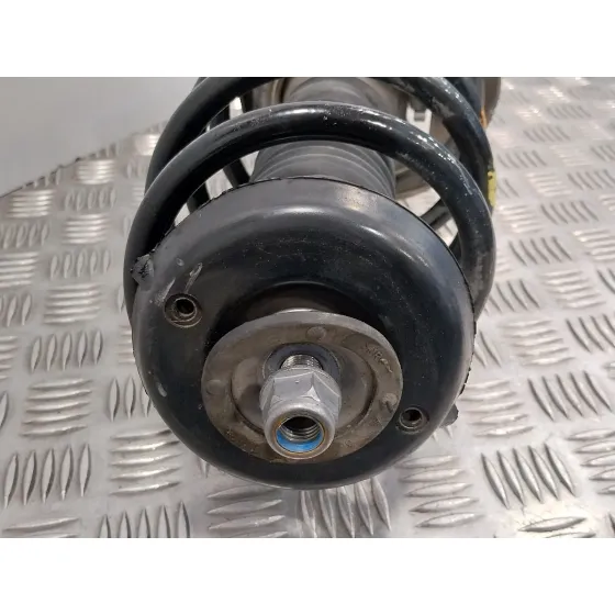 Amortiguador Delantero Izquierdo para Citroën C4 Grand Picasso