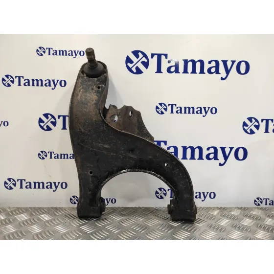 Brazo Suspension Inferior Trasero Derecho para Nissan Pathfinder (R51)