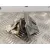 Cerradura Maletero / Porton para Mitsubishi Outlander (Cu0W)