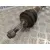 Transmision Delantera Izquierda para Peugeot 206 Berlina