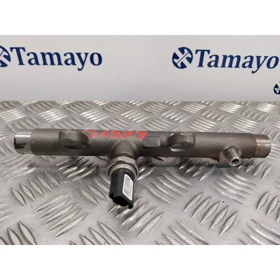 Rampa Inyectora para Renault Megane Iii Berlina 5 P