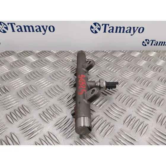 Rampa Inyectora para Renault Megane Iii Berlina 5 P